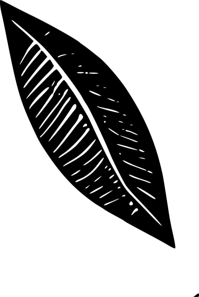 vector illustration of leaf shape