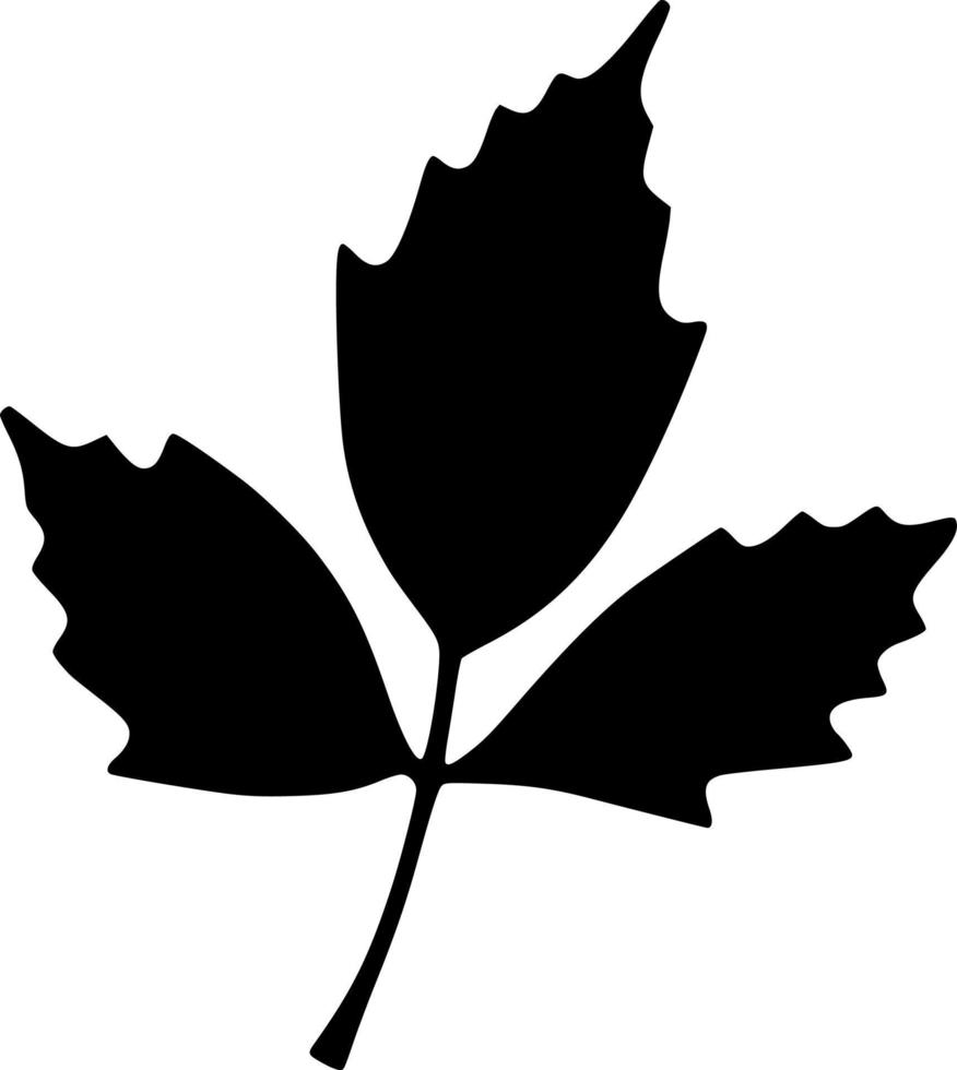 vector illustration of leaf shape