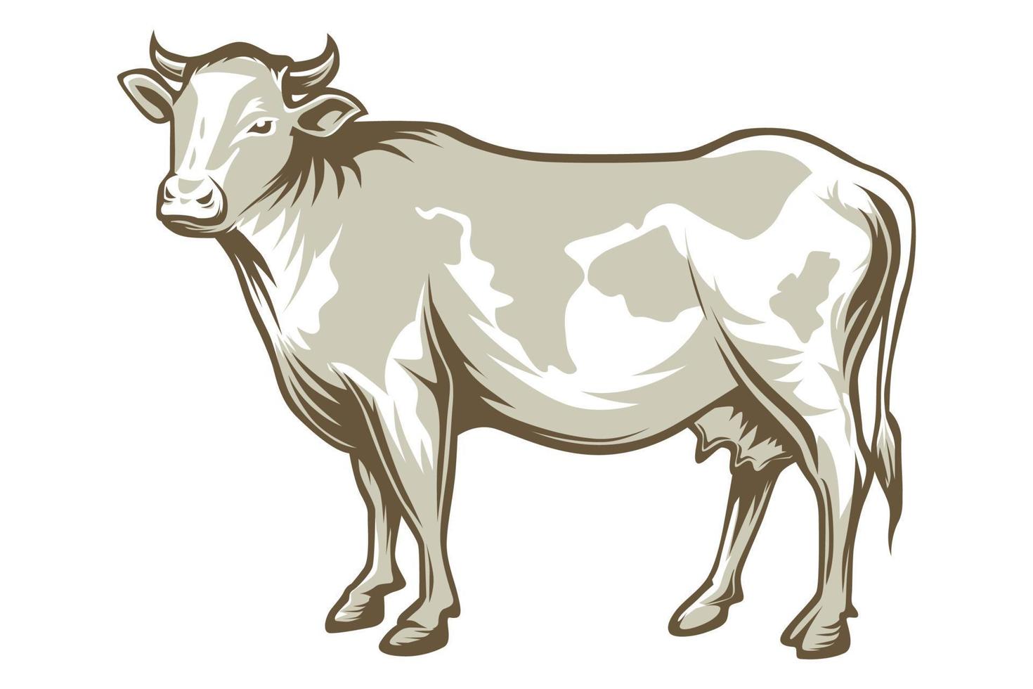 Cow Gold Vector illustration