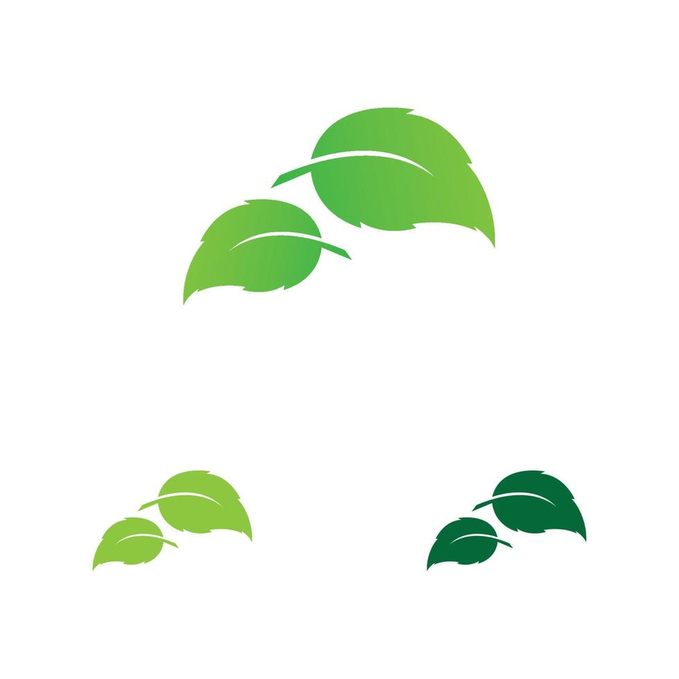 leaf logo and symbol vector