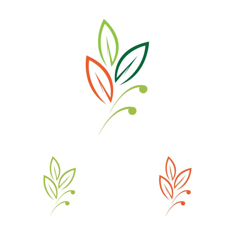 leaf logo and symbol vector