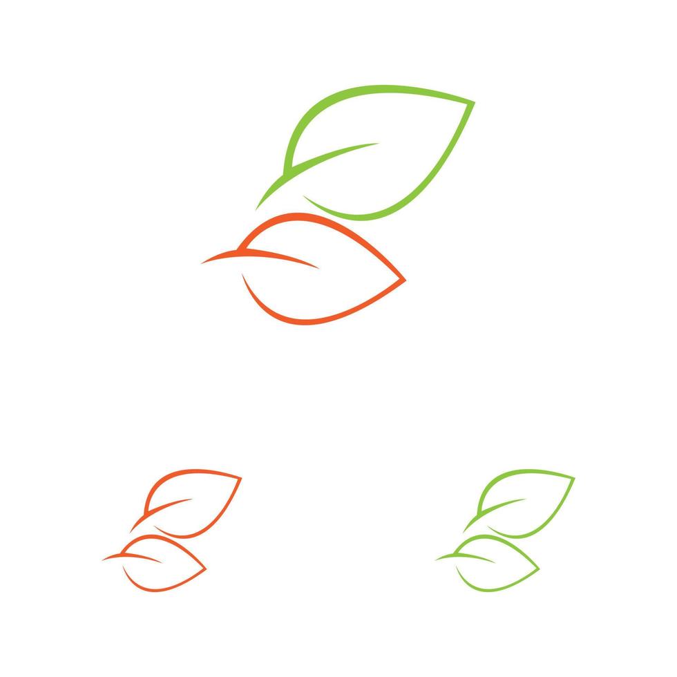 leaf logo and symbol vector