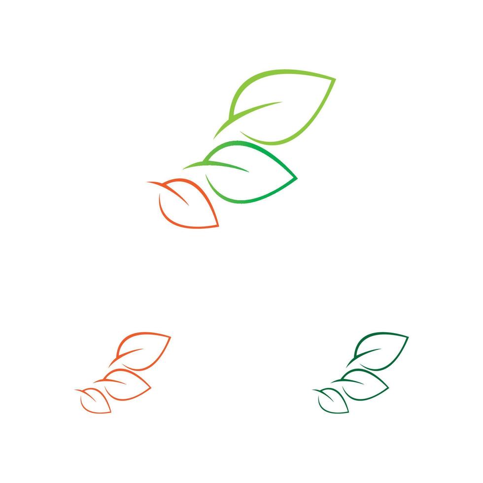 leaf logo and symbol vector