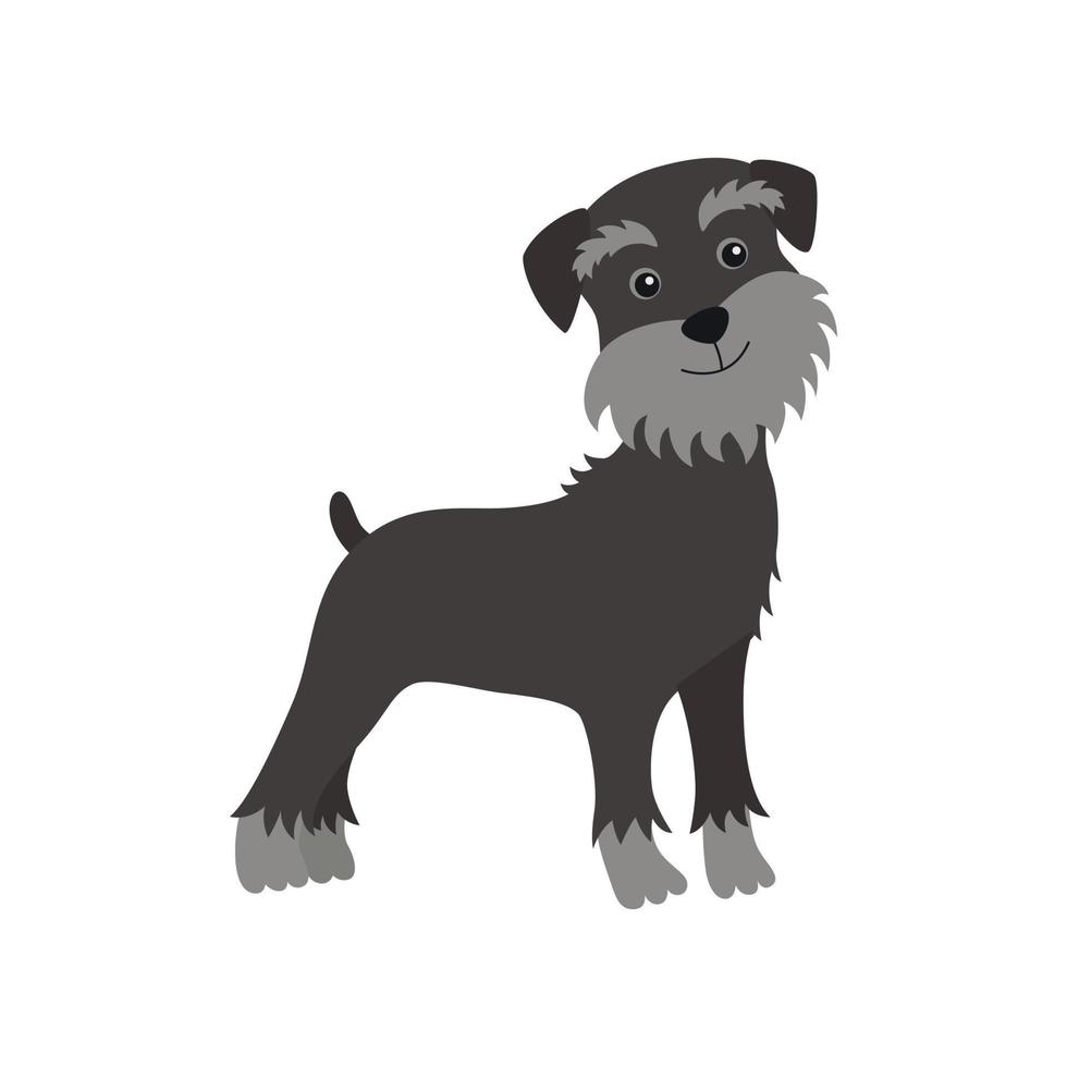 perro schnauzer negro vector