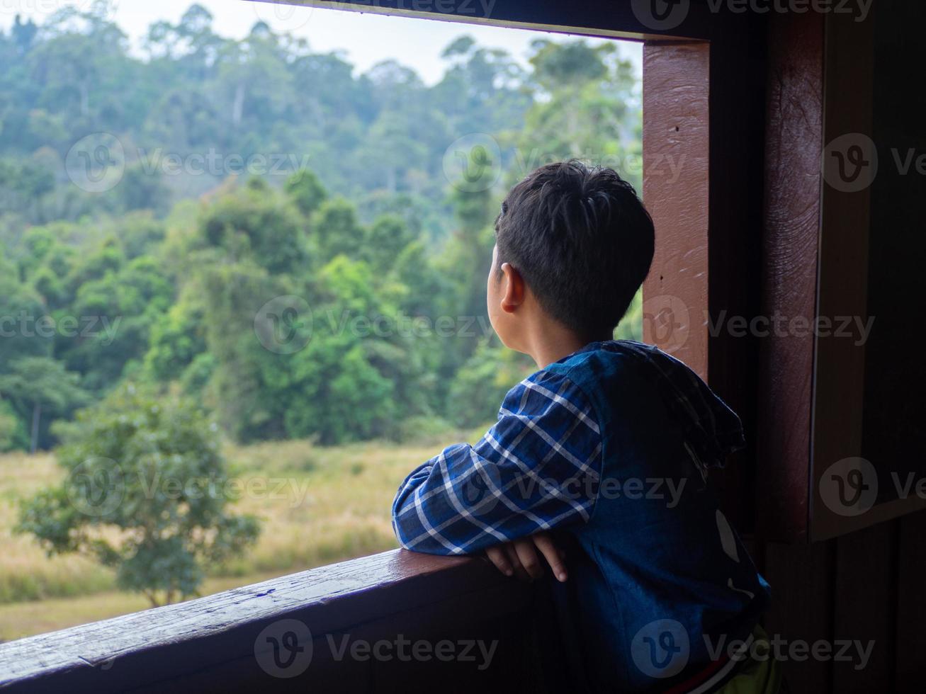 boy looking out window looking at the green forest photo