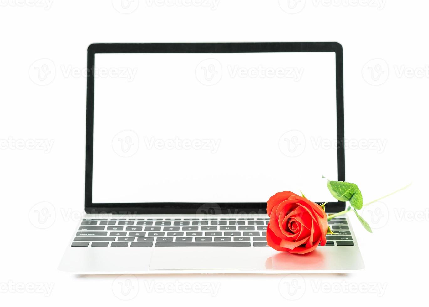 Red rose on laptop on white photo