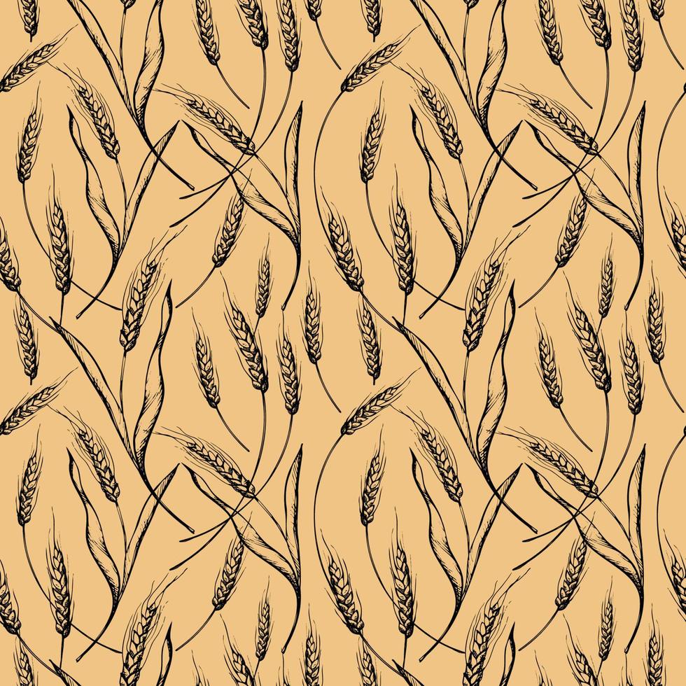 lindo patrón repetitivo sin costuras con espigas de trigo sobre un fondo beige. adorno floral con una espiga de trigo. dibujado a mano. vector