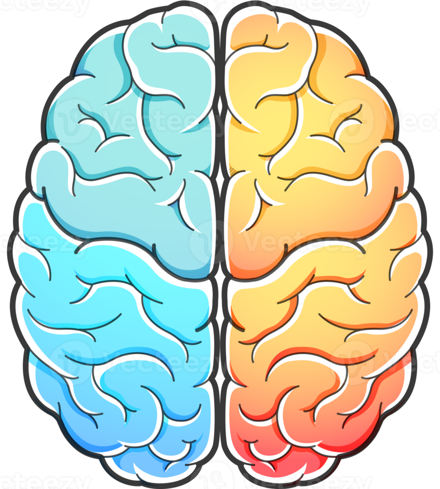 símbolo do cérebro humano png