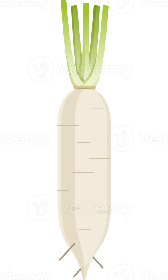 radish flat color png