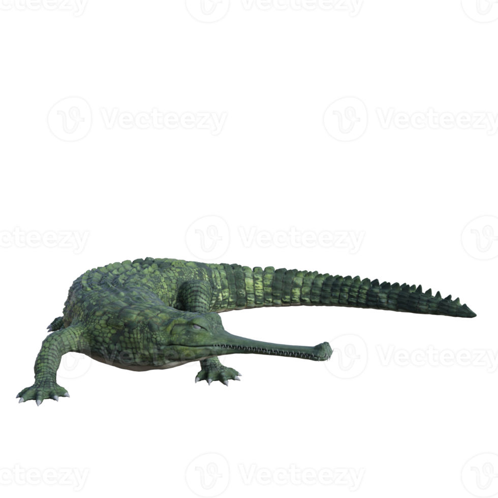 Wildlife crocodile isolated 3d render png