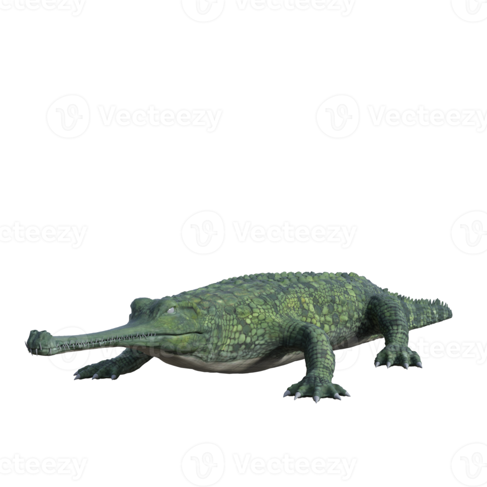 crocodilo da vida selvagem isolado 3d render png