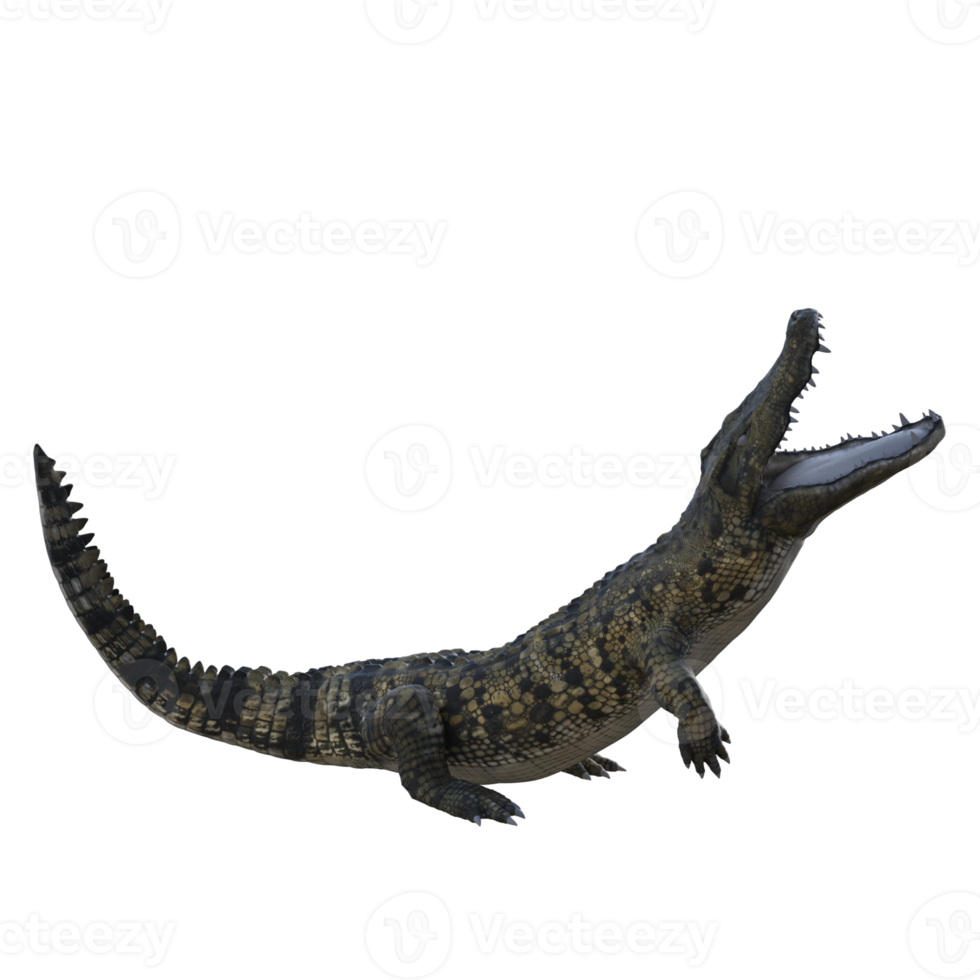 Wildlife crocodile isolated 3d render png