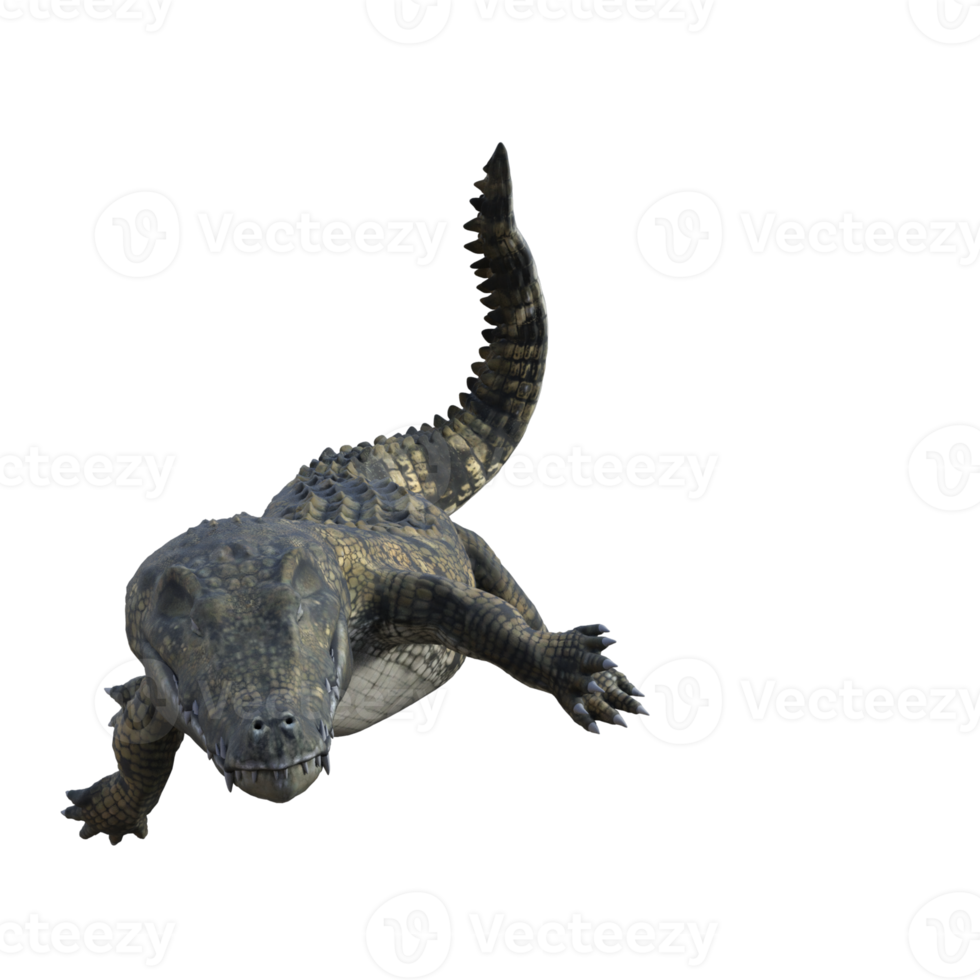 Wildlife crocodile isolated 3d render png