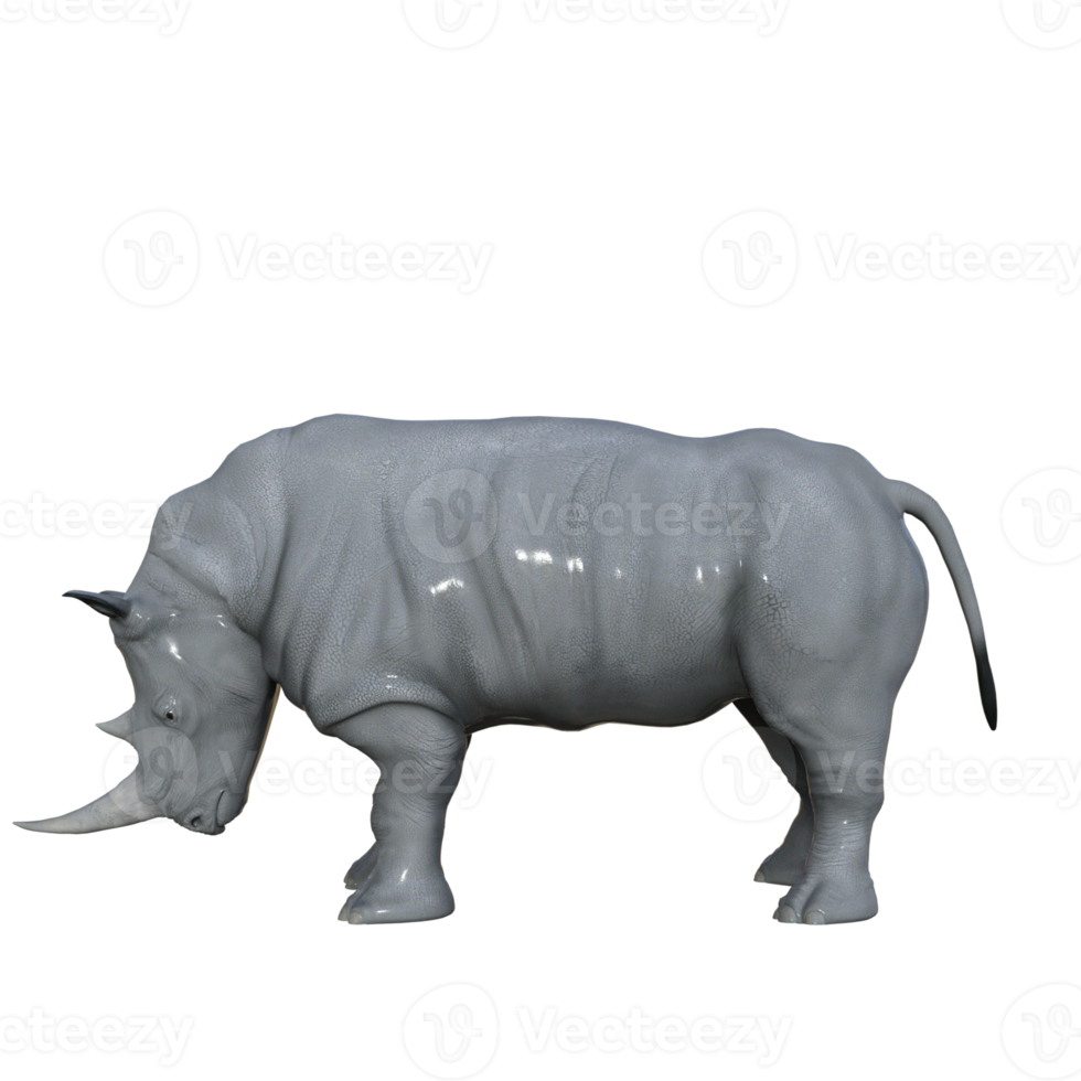 rendu 3d isolé de rhinocéros png