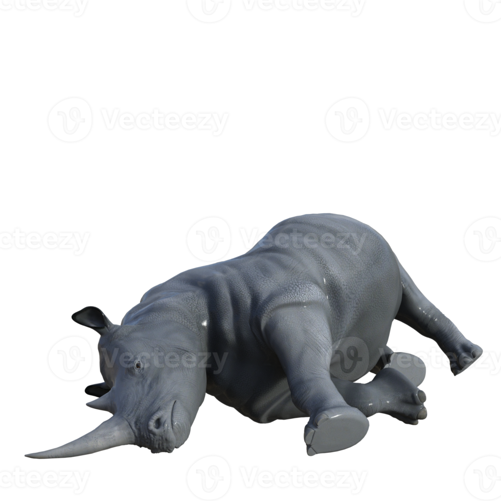 neushoorn geïsoleerd 3d geven png