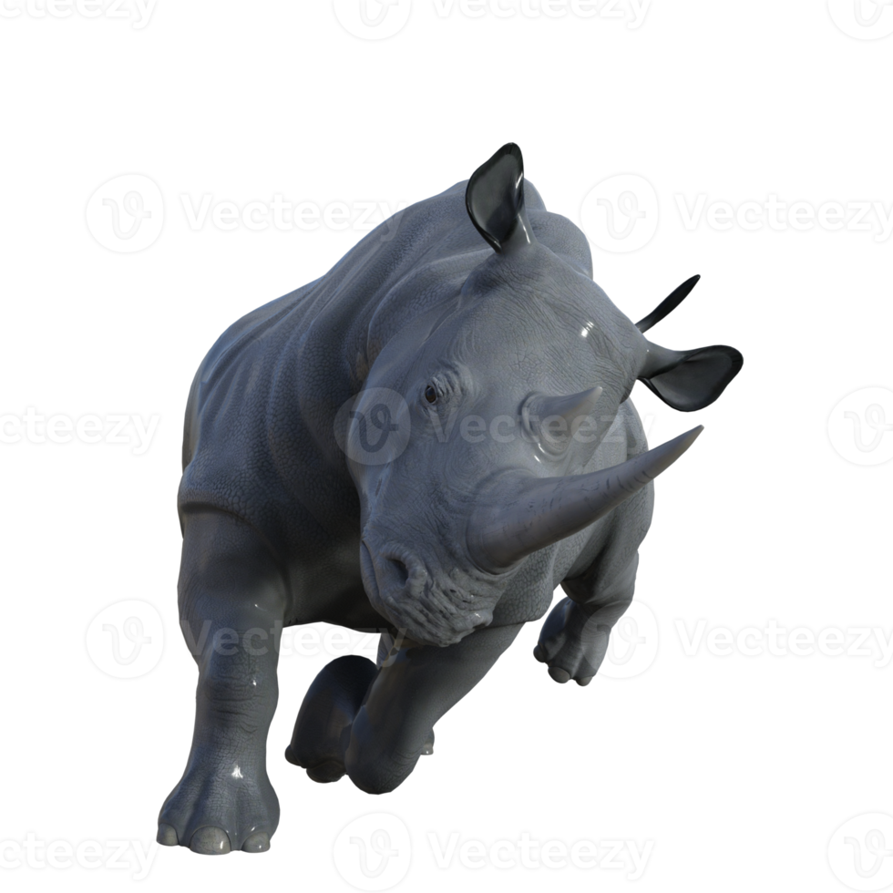 rendu 3d isolé de rhinocéros png