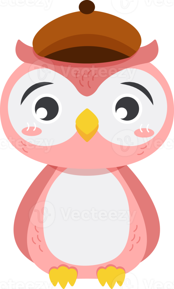 Owl bird cartoon characters with clothes png