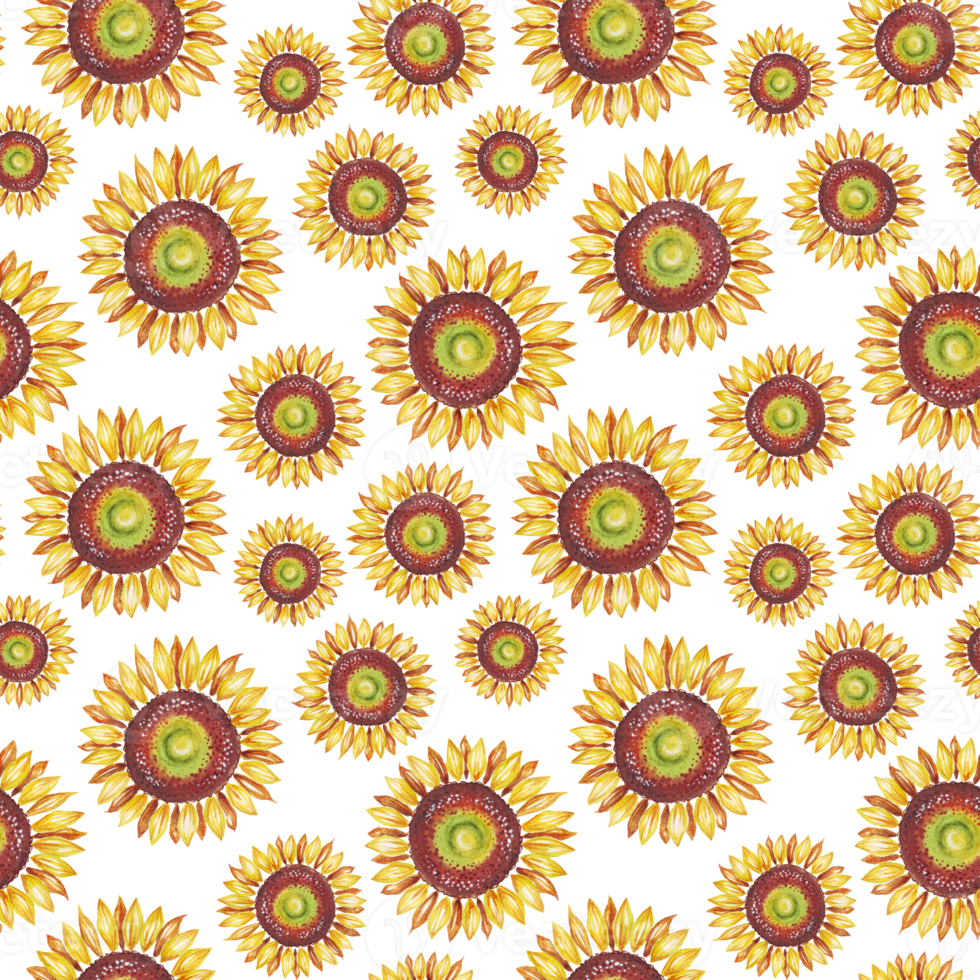 Sunflower. Seamless pattern. Watercolor illustration. Hand-painted png