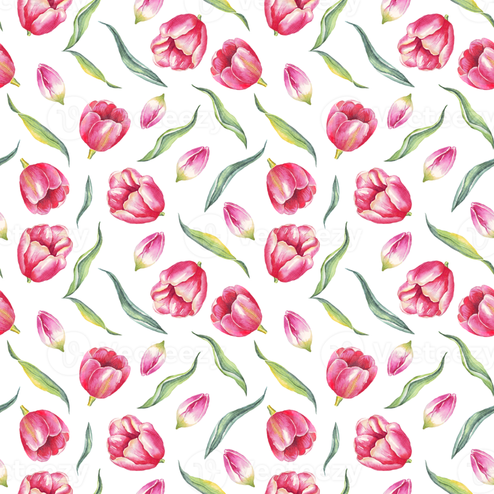 Watercolor tulips. Seamless pattern png