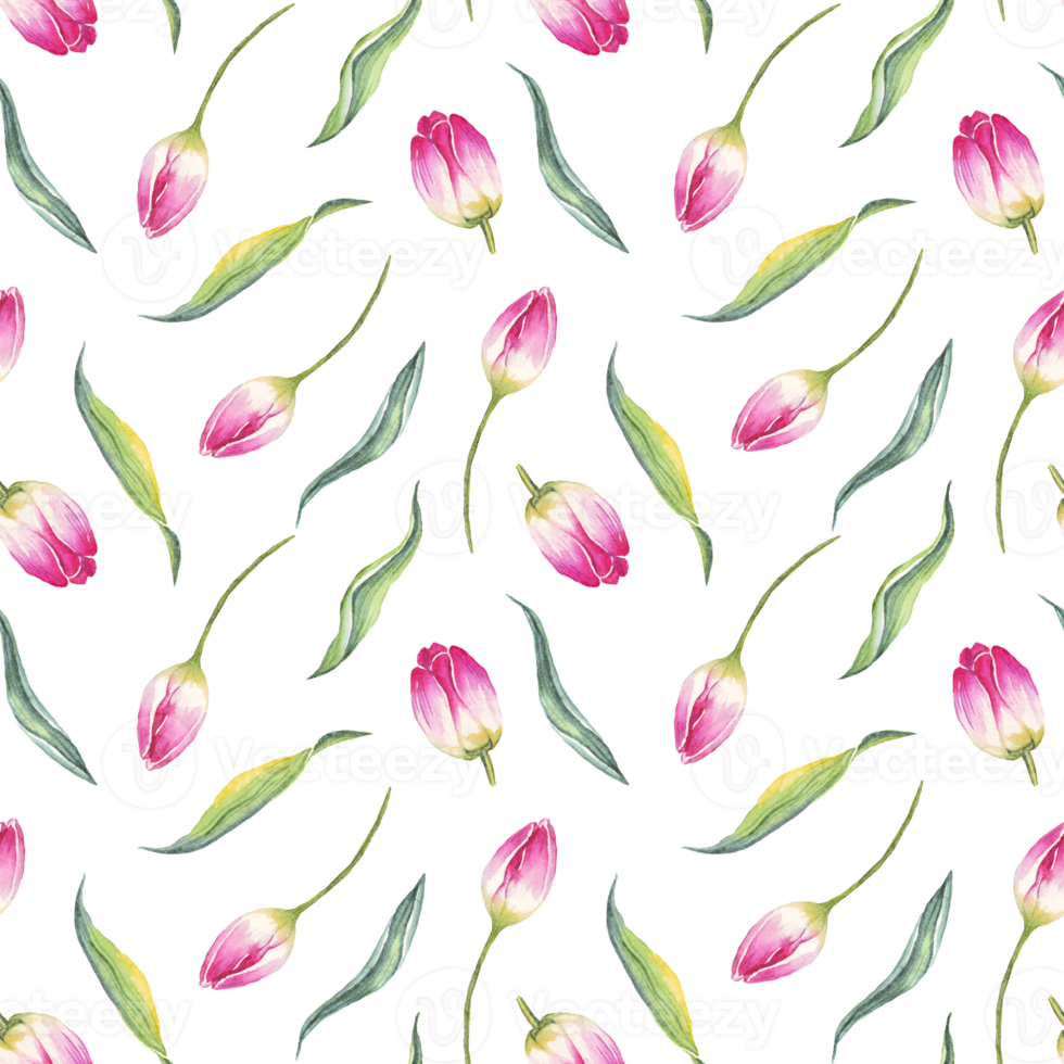 Watercolor tulips. Seamless pattern png