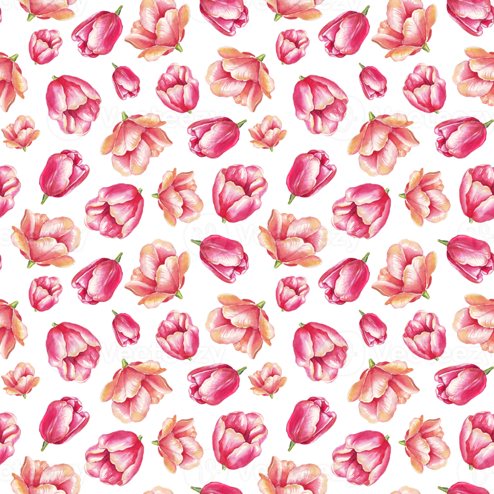 Watercolor tulips. Seamless pattern png