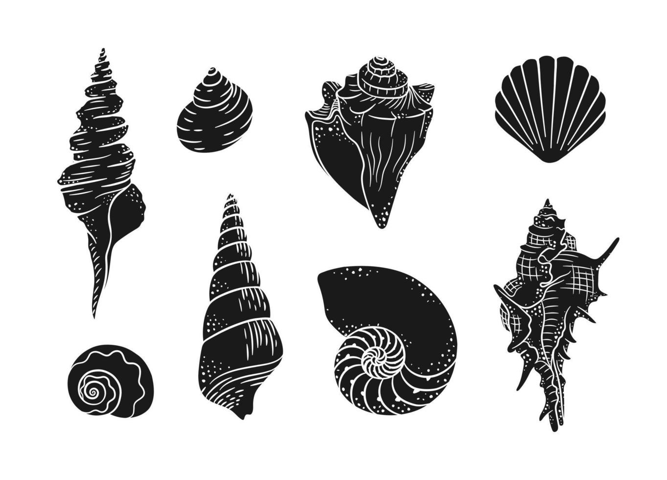 Seashell silhouette vector illustration set. Aquatic marine graphics for menu, seafood restaurant design, resort hotel spa, surf boards, wall art print