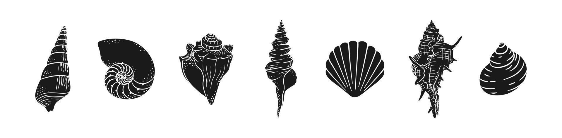 Seashell silhouette vector illustration set. Aquatic marine graphics for menu, seafood restaurant design, resort hotel spa, surf boards, wall art print