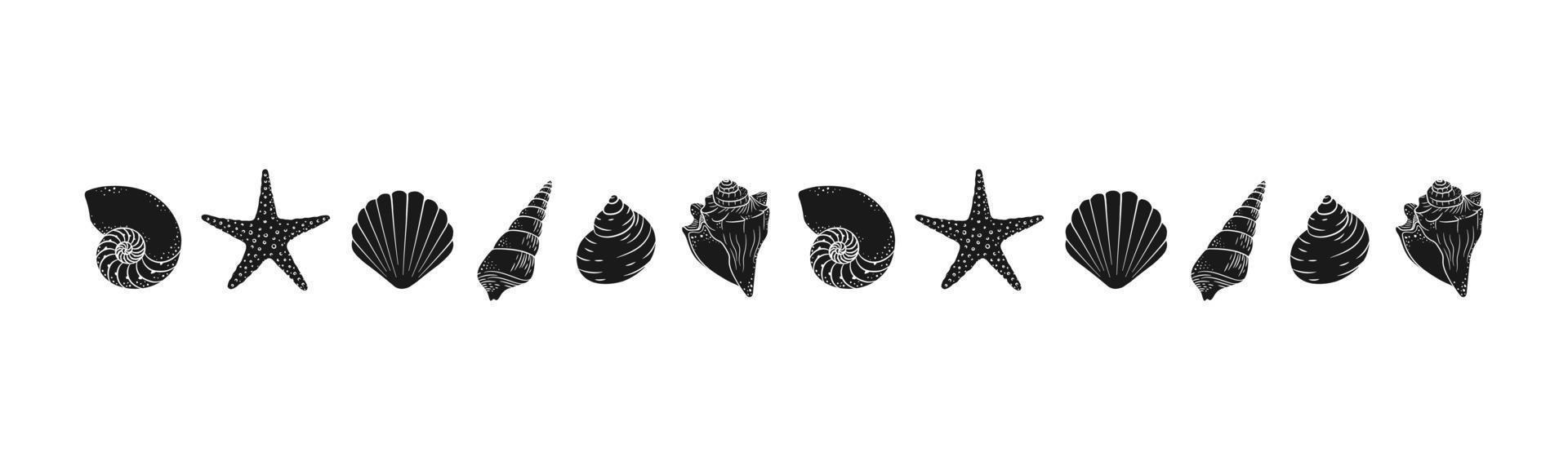 conchas marinas y silueta divisoria de borde de estrella de mar. plantilla de diseño de mar y océano. ilustración vectorial verano o fiesta en la playa, diseño publicitario vector