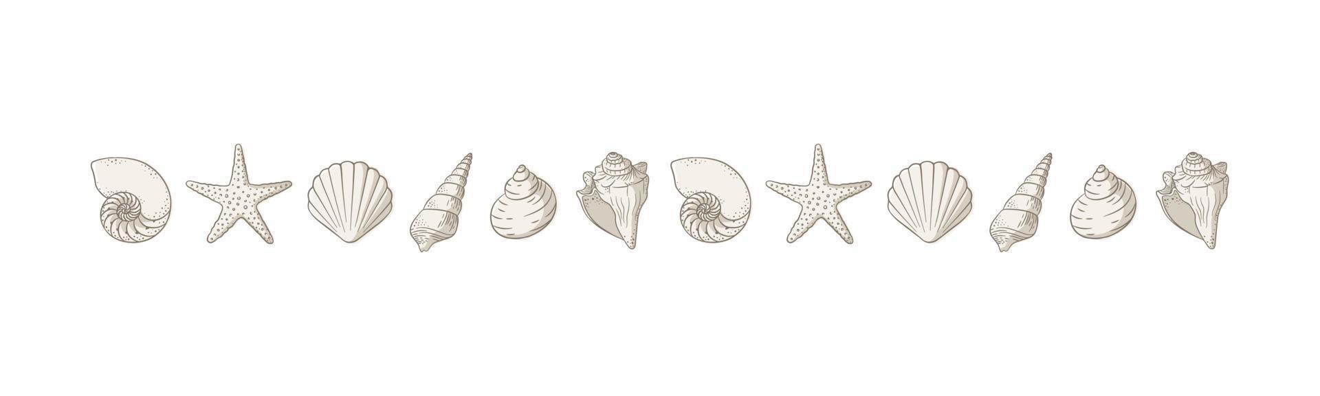 Seashells border divider. Sea and ocean design template. Vector illustration summer or beach party, advertising design