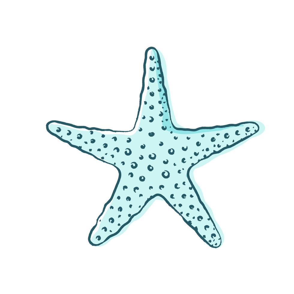 Starfish vector illustration. Abstract boho sketch doodle style. Illustrations for menu, seafood restaurant design, resort hotel spa, surf boards. Wall Art Print, t shirt, phone case