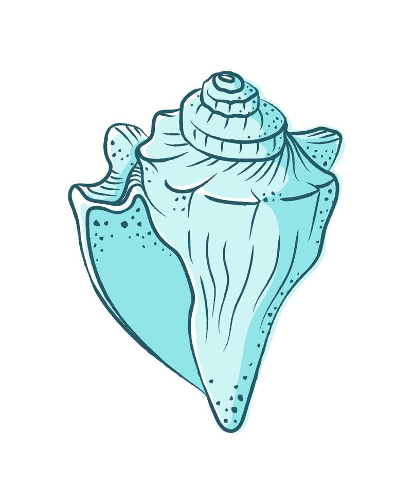 Conch Seashell vector illustration. Abstract boho sketch doodle style. Illustrations for menu, seafood restaurant design, resort hotel spa, surf boards. Wall Art Print, t shirt, phone case