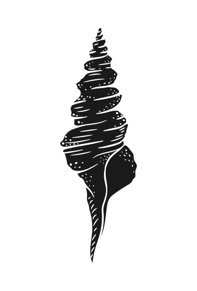 Seashell silhouette vector illustration. Aquatic marine illustrations for menu, seafood restaurant design, resort hotel spa, surf boards, wall art print