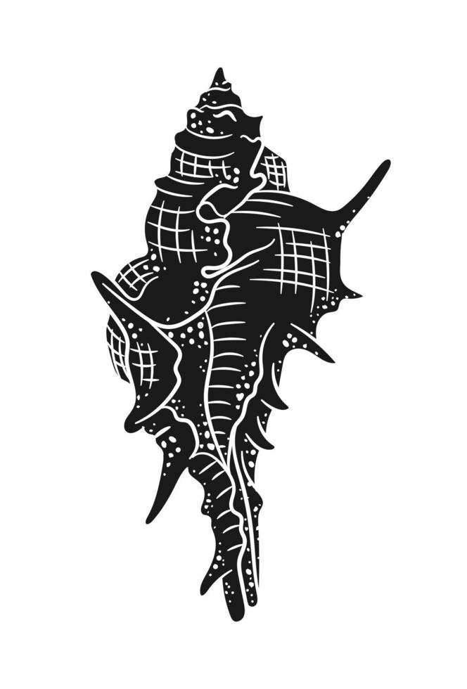 Conch shell silhouette vector illustration. Aquatic marine illustrations for menu, seafood restaurant design, resort hotel spa, surf boards, wall art print