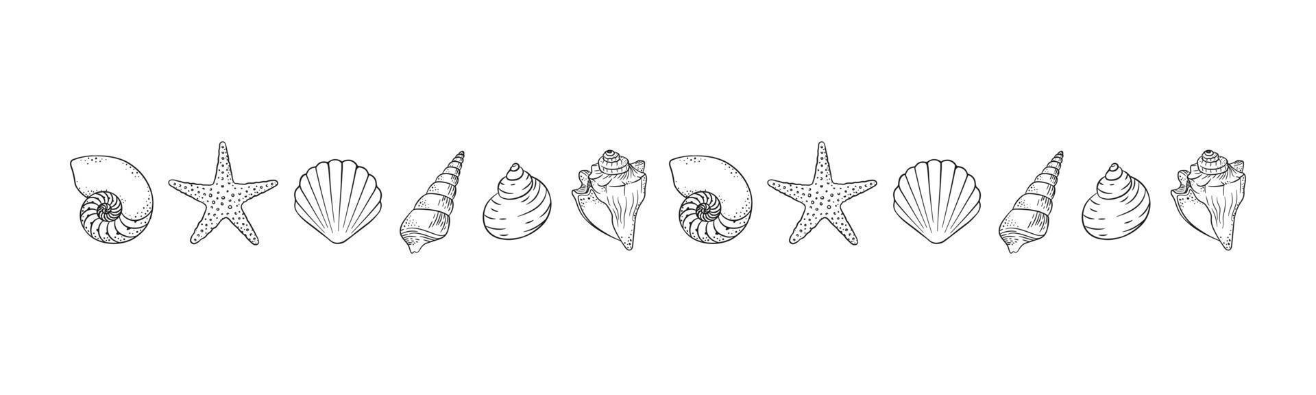 Seashells border divider outline. Sea and ocean design template. Vector illustration summer or beach party, advertising design