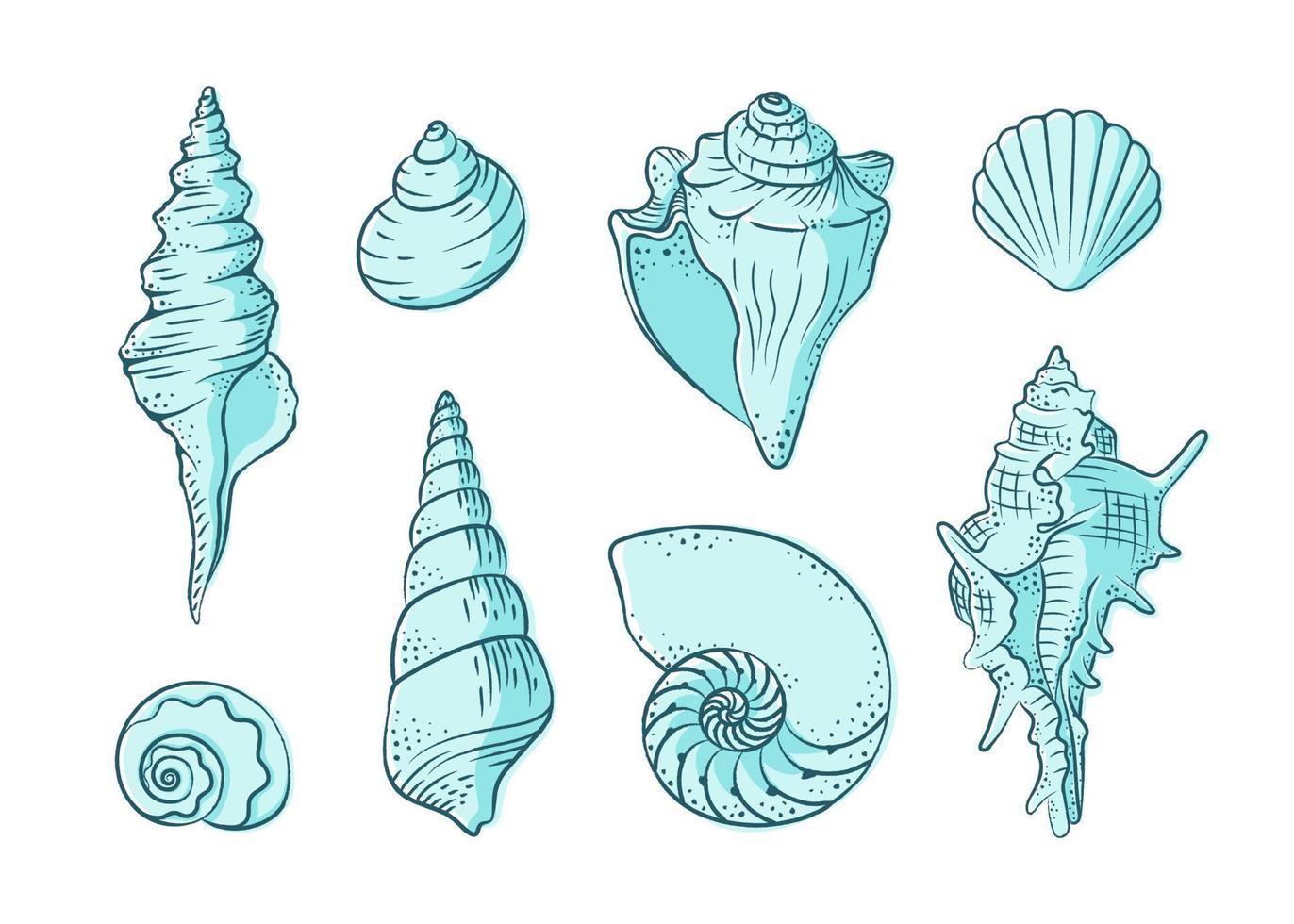 Seashells vector illustration set. Abstract boho sketch doodle style with color. Illustrations for menu, seafood restaurant design, resort hotel spa, surf boards. Wall Art Print, t shirt, phone case