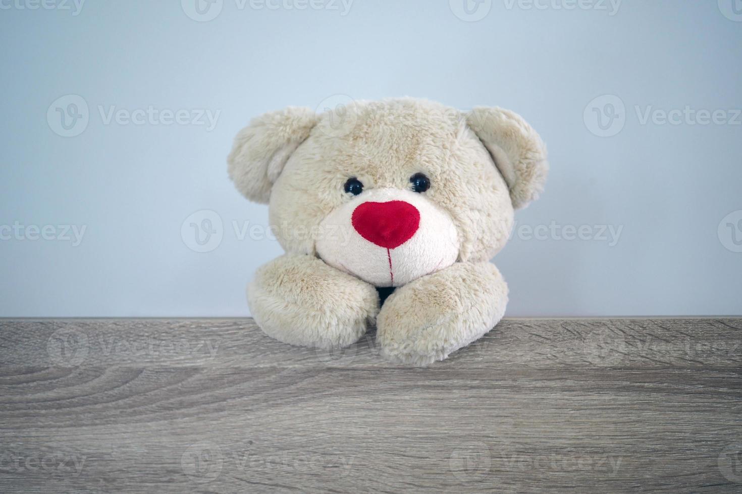 Background for kids play Teddy bear. Brown hair teddy bear standing behind the wood. Children's play concept photo