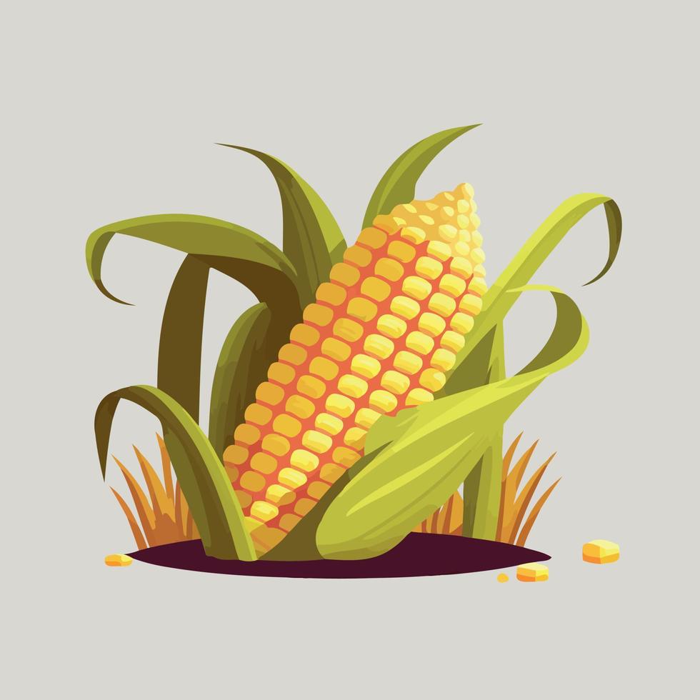 ripe corn on the cob vegetable food vector