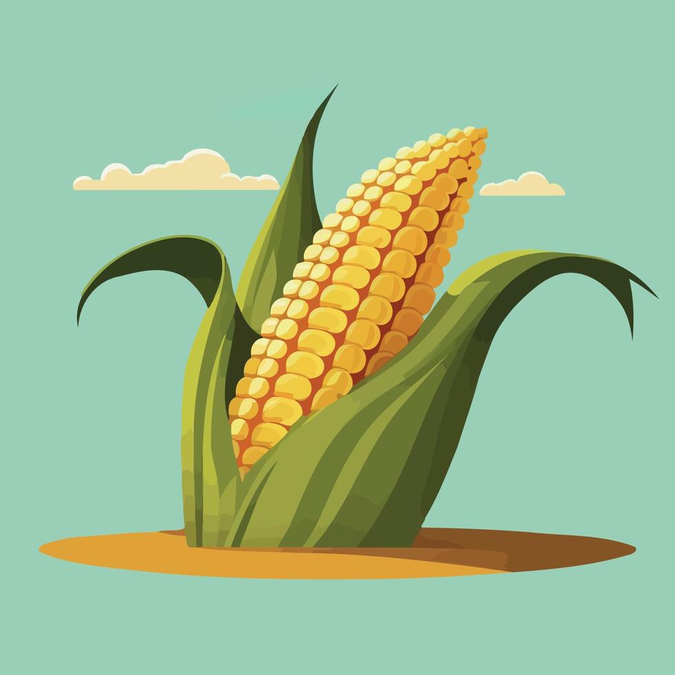 ripe corn on the cob vegetable food vector