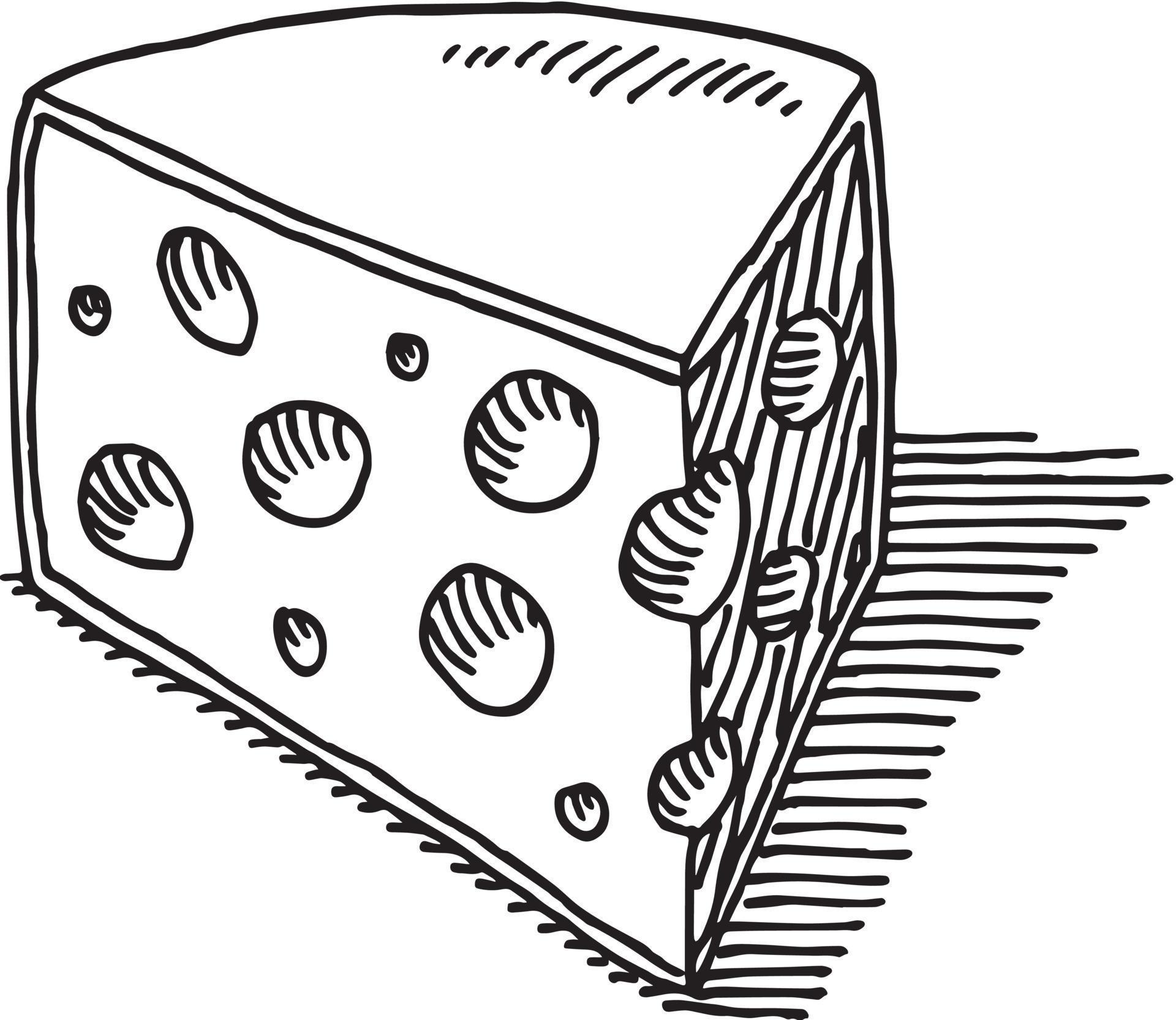 Handdrawn vector drawing of a Piece of Cheese. BlackandWhite sketch