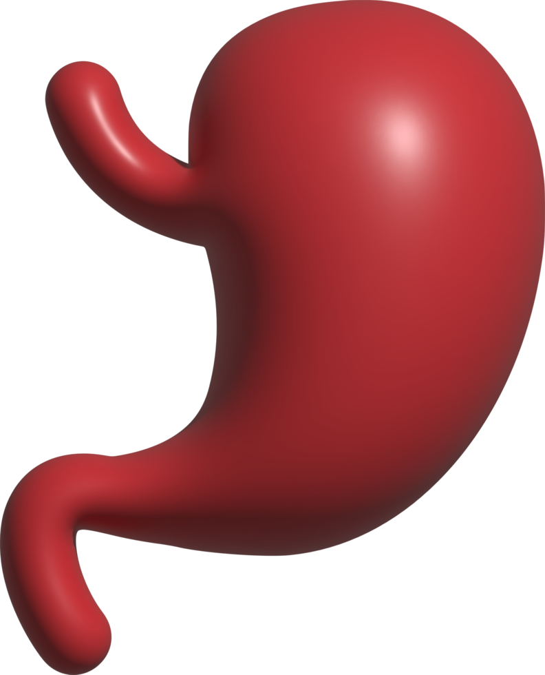 3d icon of stomatch png