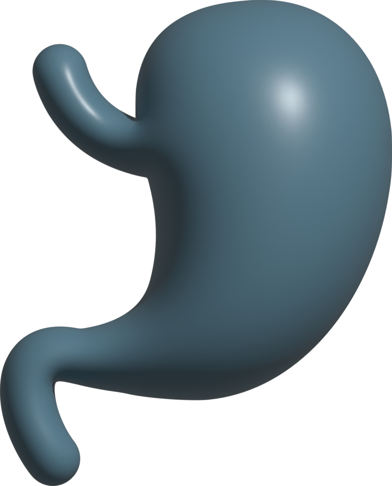 3D-Symbol von Magen png