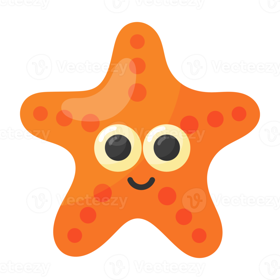 Starfish sea star and shell icon. png