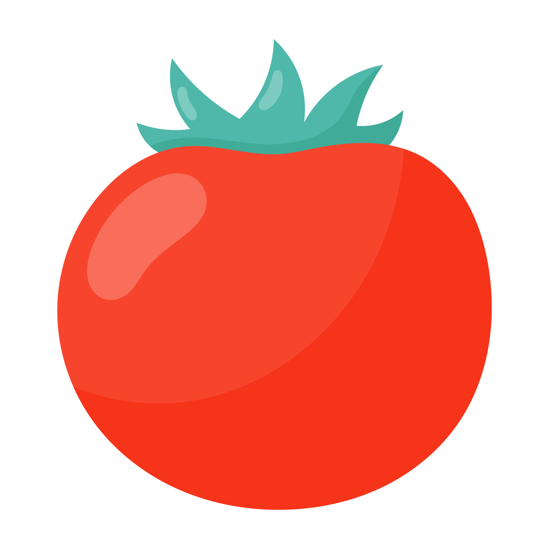 vegetable Tomato icon. 18974656 PNG