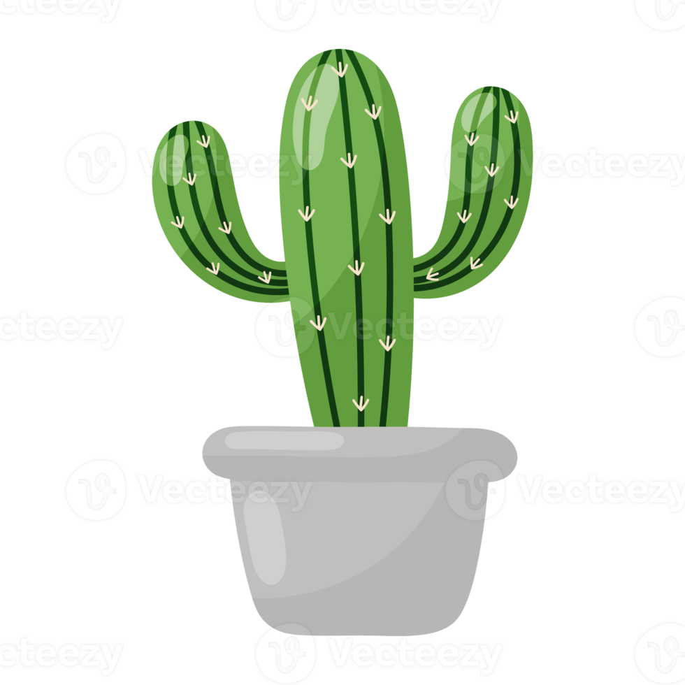 Cartoon Cactus icon. png