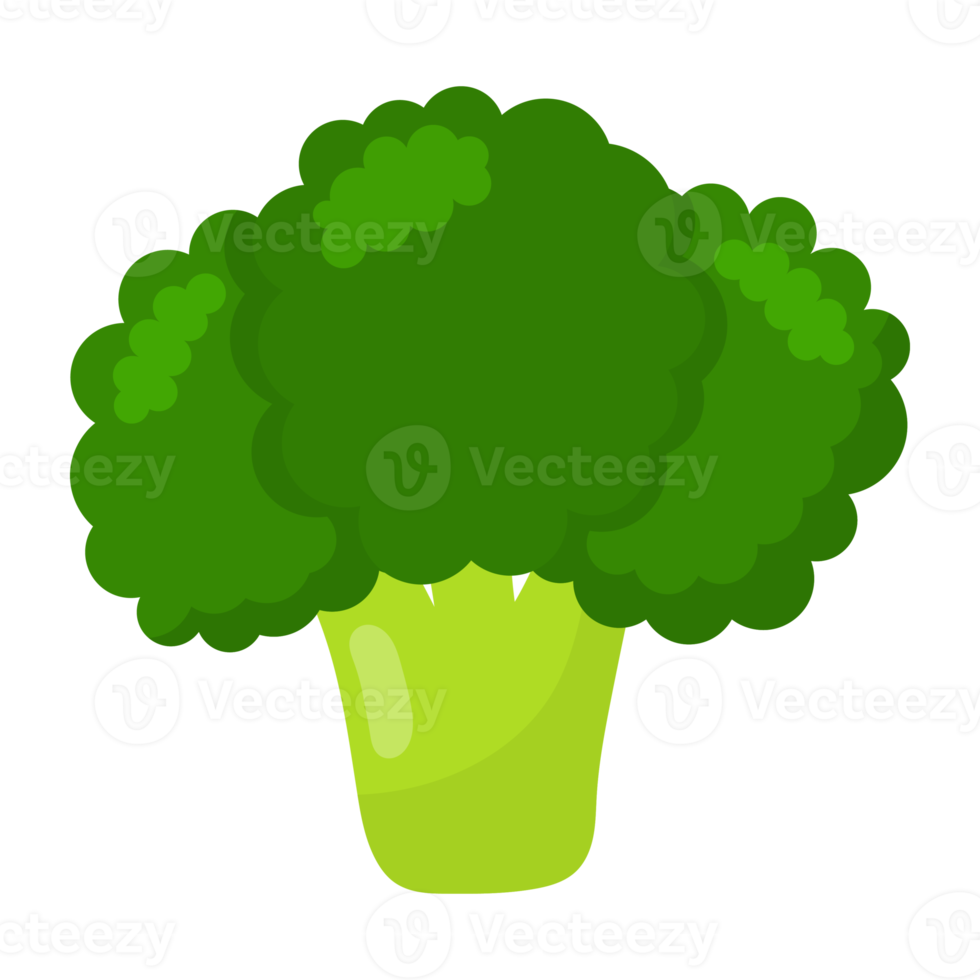 Green broccoli icon. png