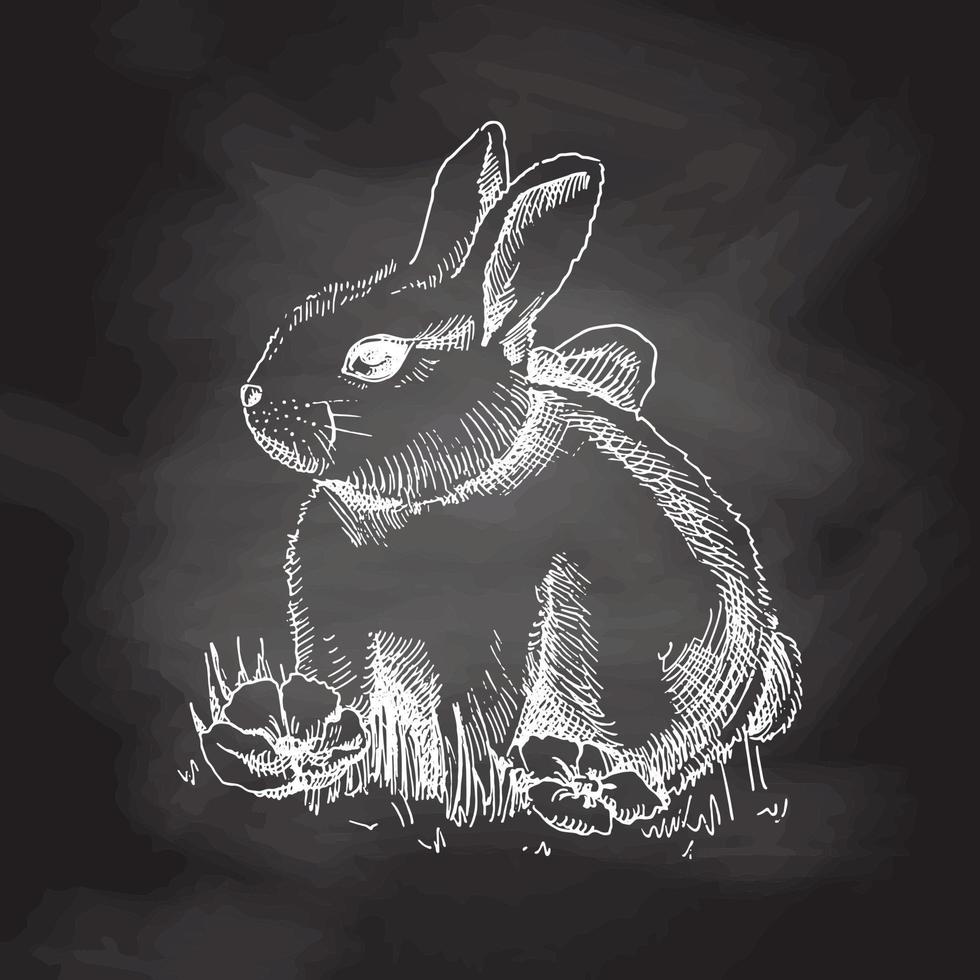 un boceto dibujado a mano de conejito. Pascua vacaciones. ilustración vectorial conejo con lazo en hierba y flores. fondo de pizarra, dibujo blanco. elemento de época. vector