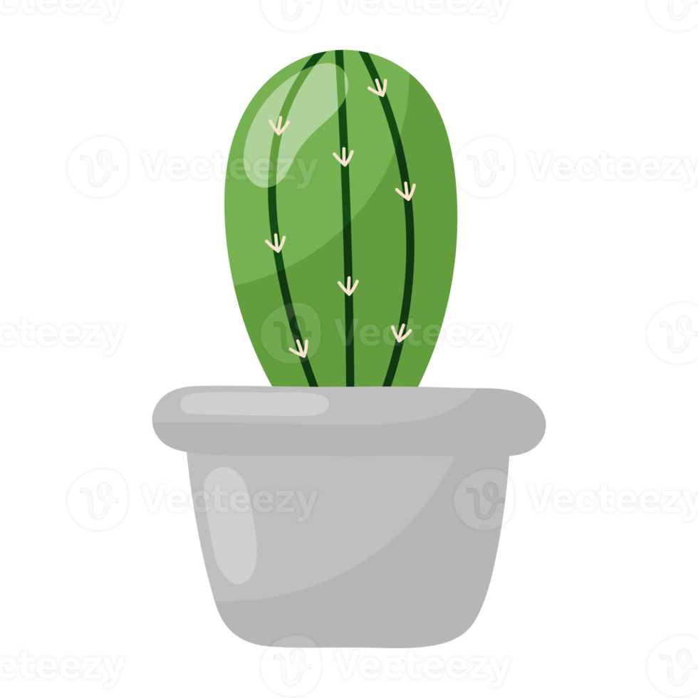 icono de cactus de dibujos animados. png