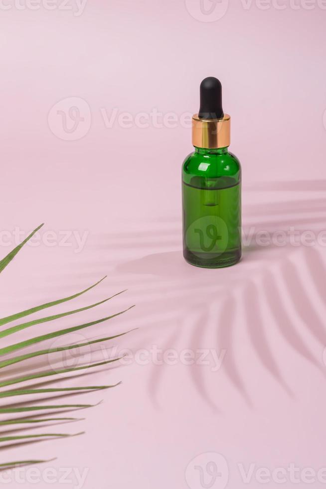 Cosmetic bottle serum, oil on with green branch on pink background. Natural cosmetics concept, skin care product. Beauty concept for face body care. Mockup photo