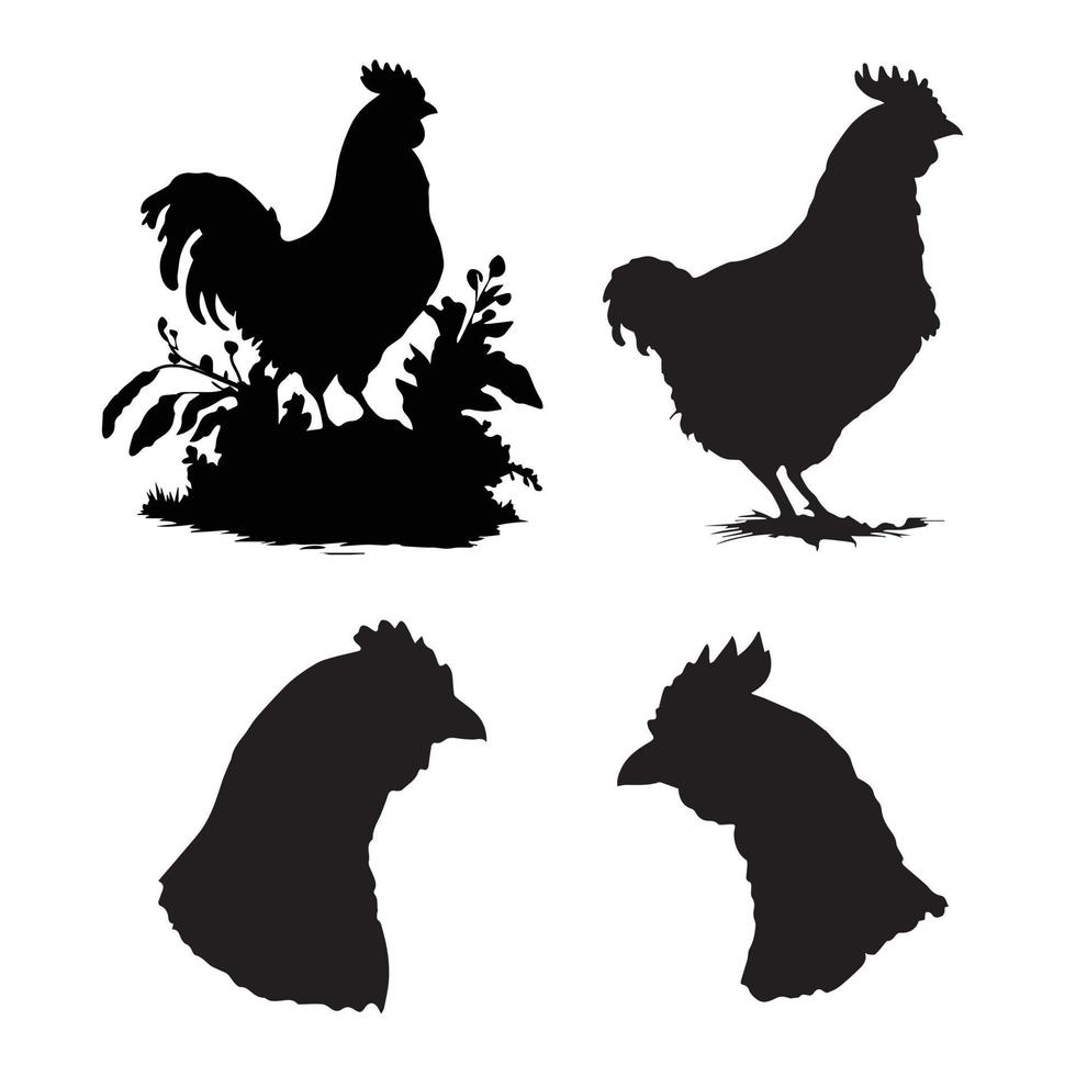 Silhouette of Chicken vector, hen black silhouette vector set