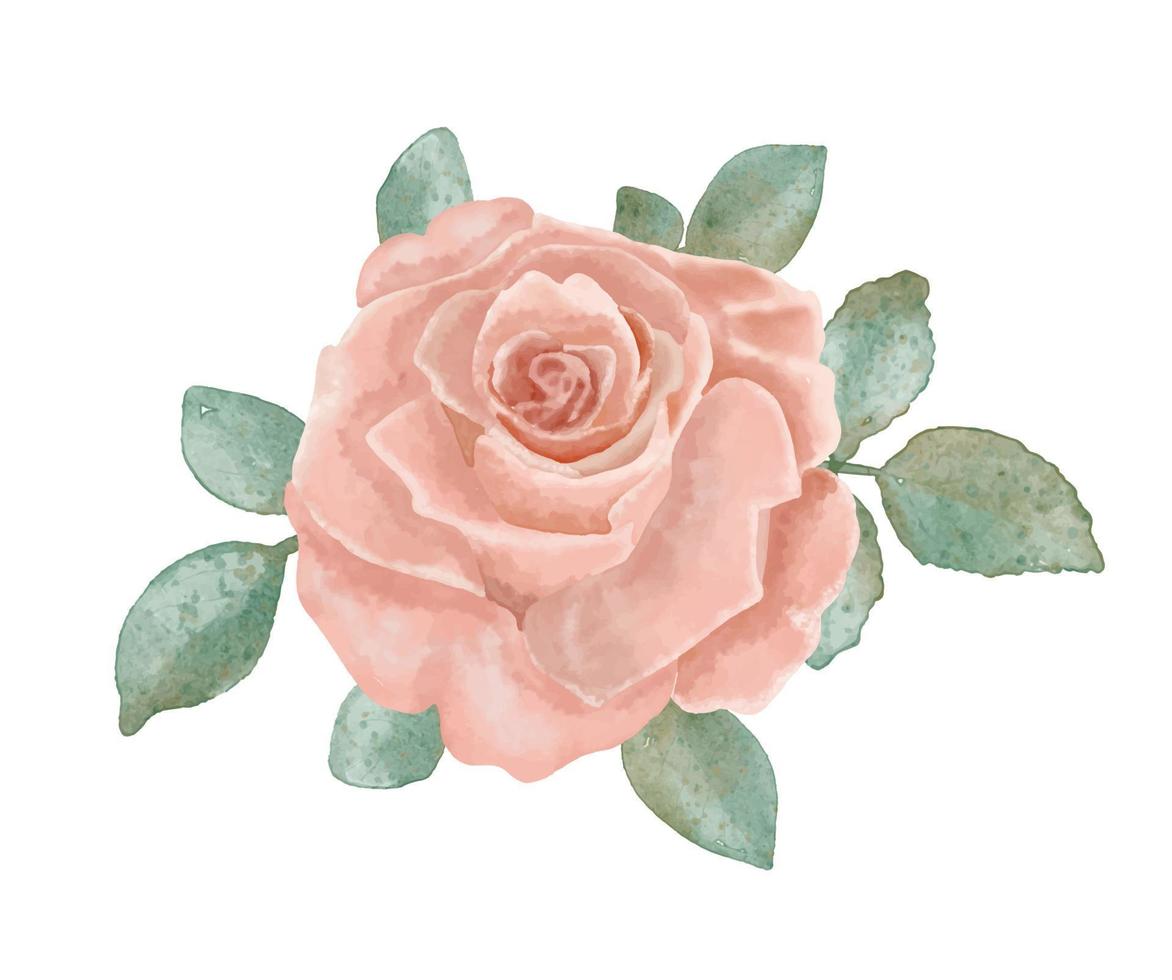 Watercolor hand drawn vector rose.